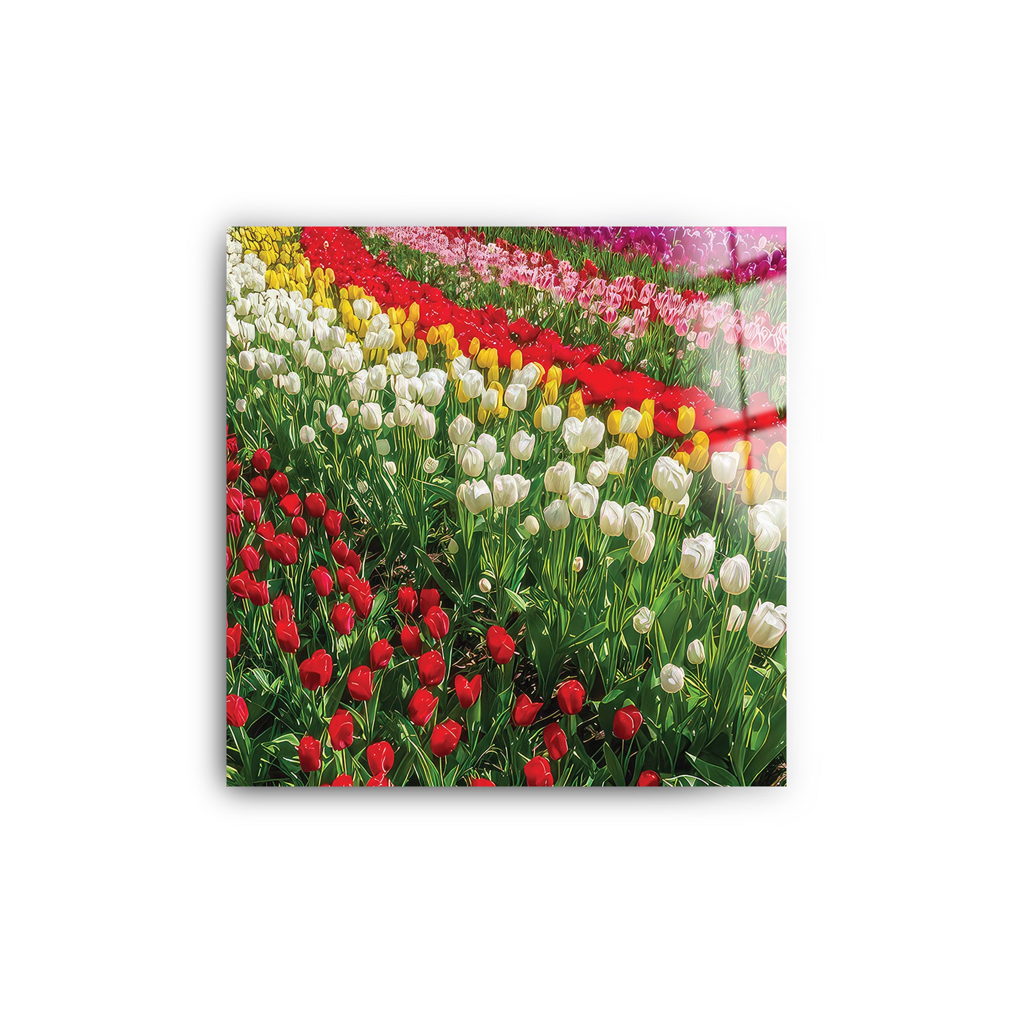 Flowar Garden | Glass Wall Art