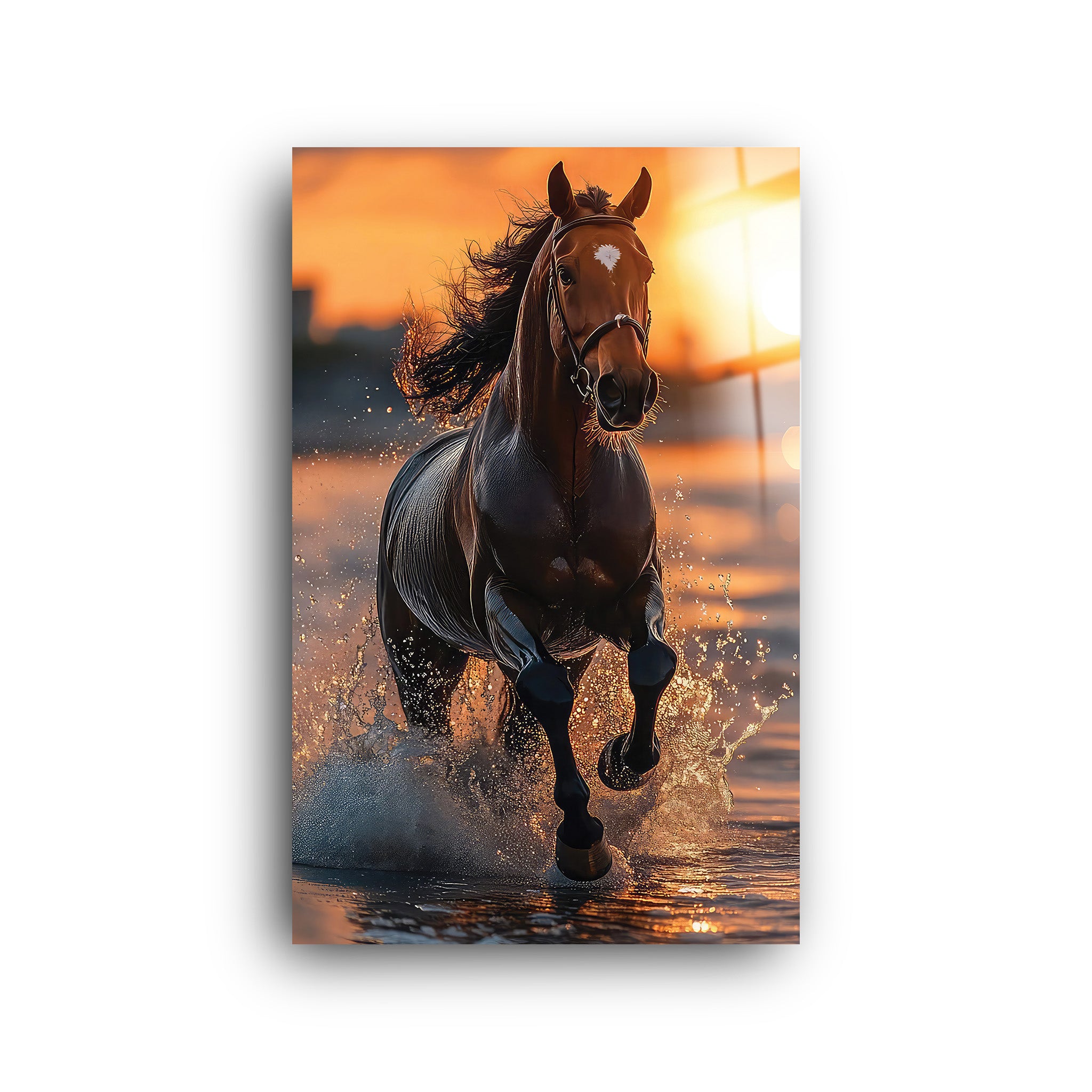 Horse | Glass Wall Art