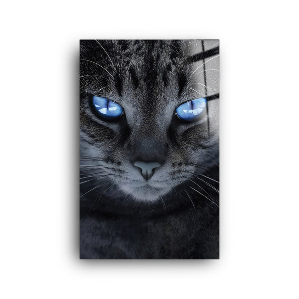 Blue Eyed Cat | Glass Wall Art