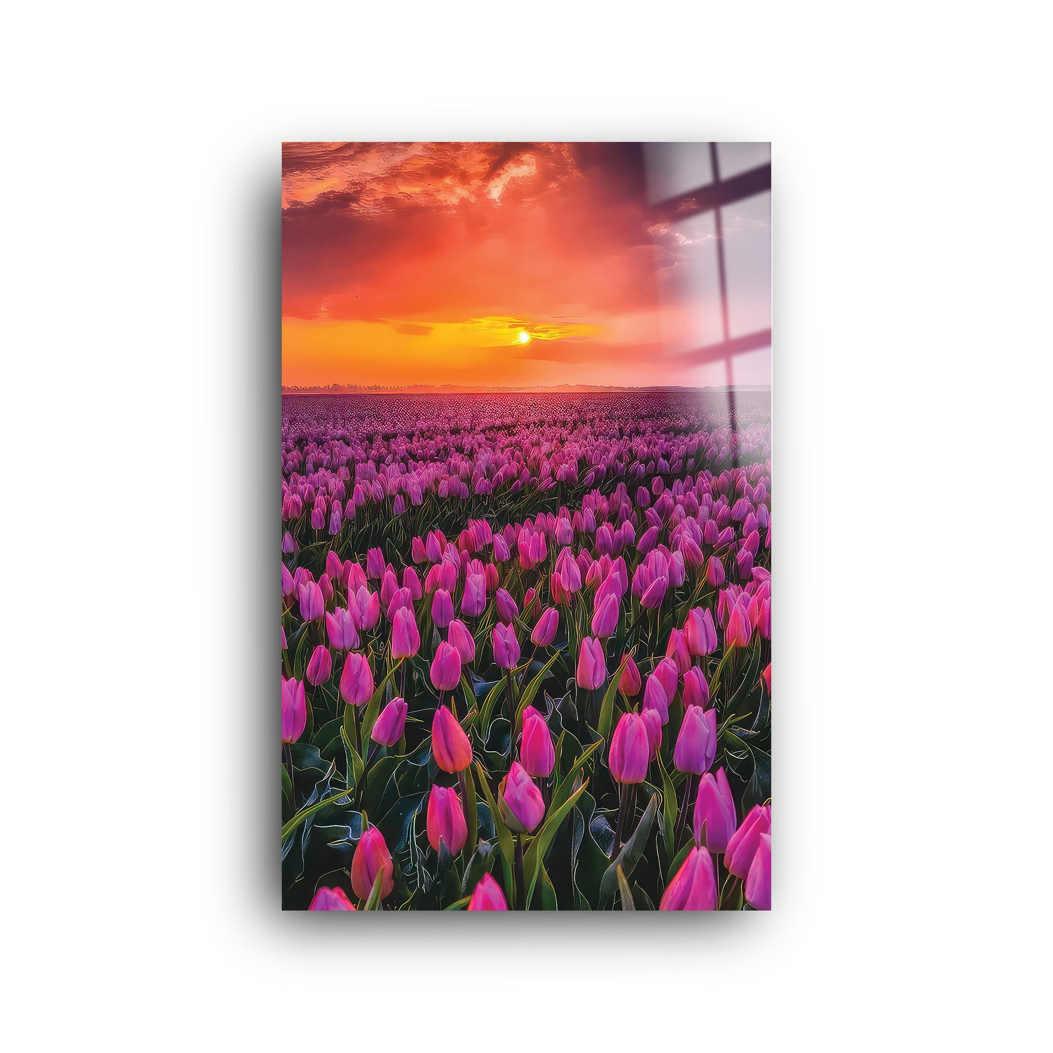 Tulip Scenery | Glass Wall Art