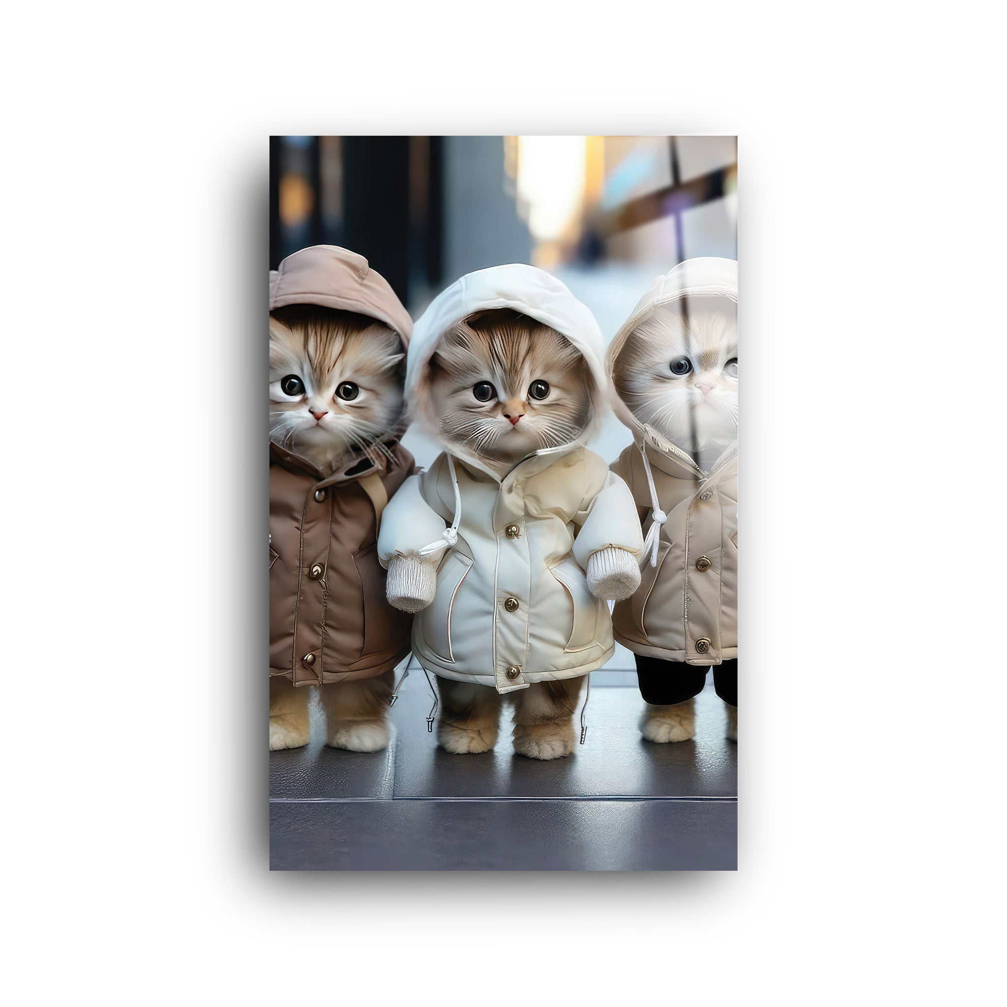 Triple Cats | Glass Wall Art