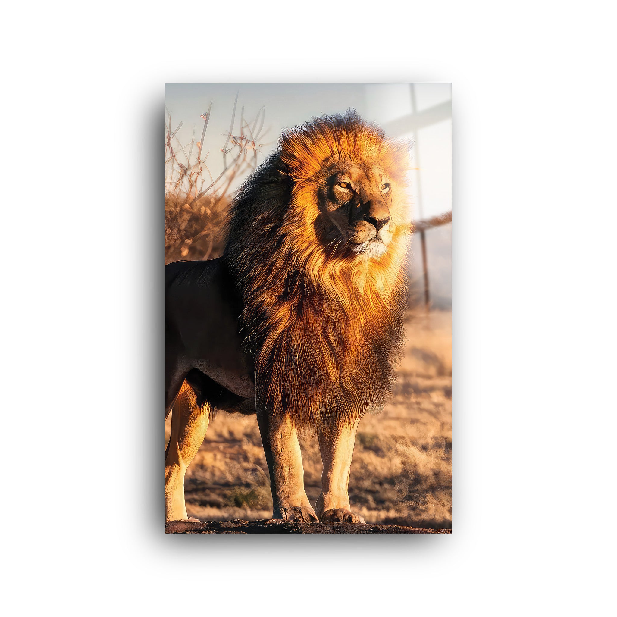 Lion | Glass Wall Art