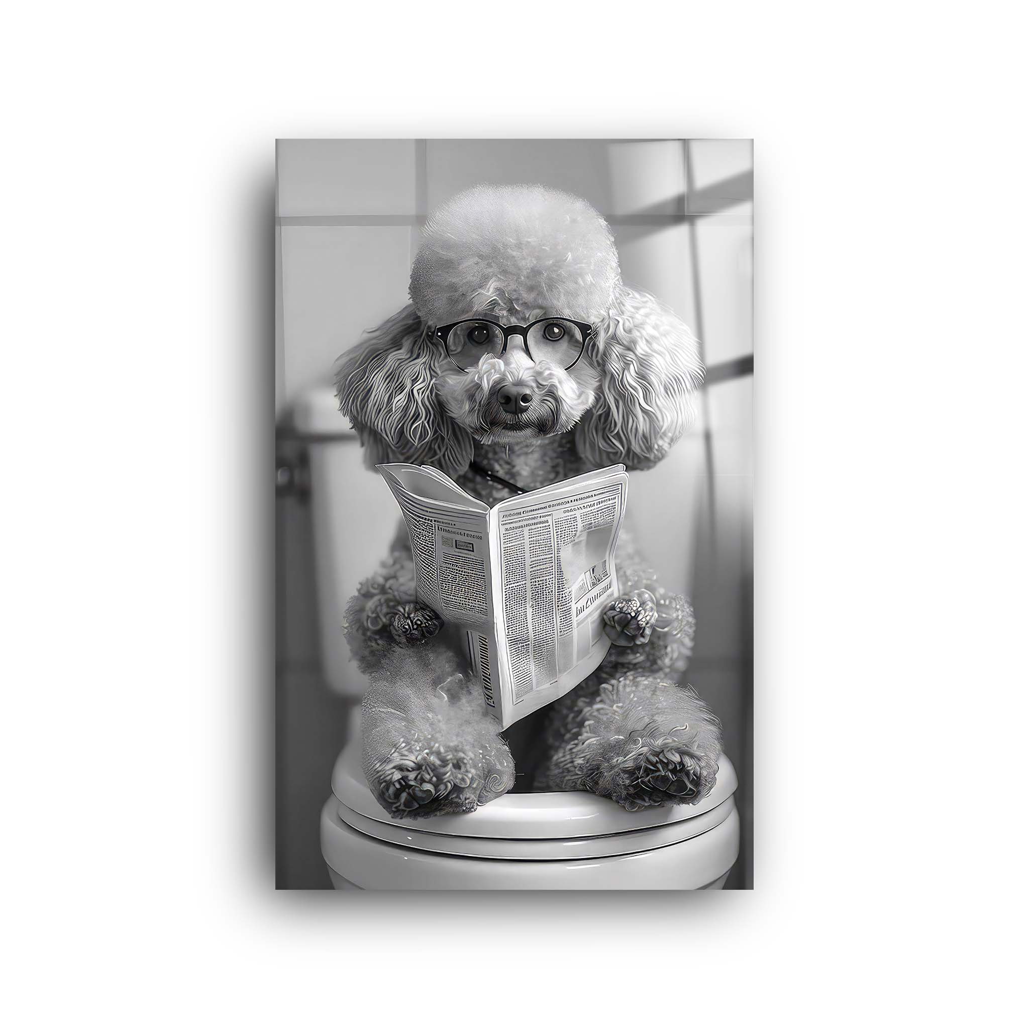 Reader Dog | Glass Wall Art