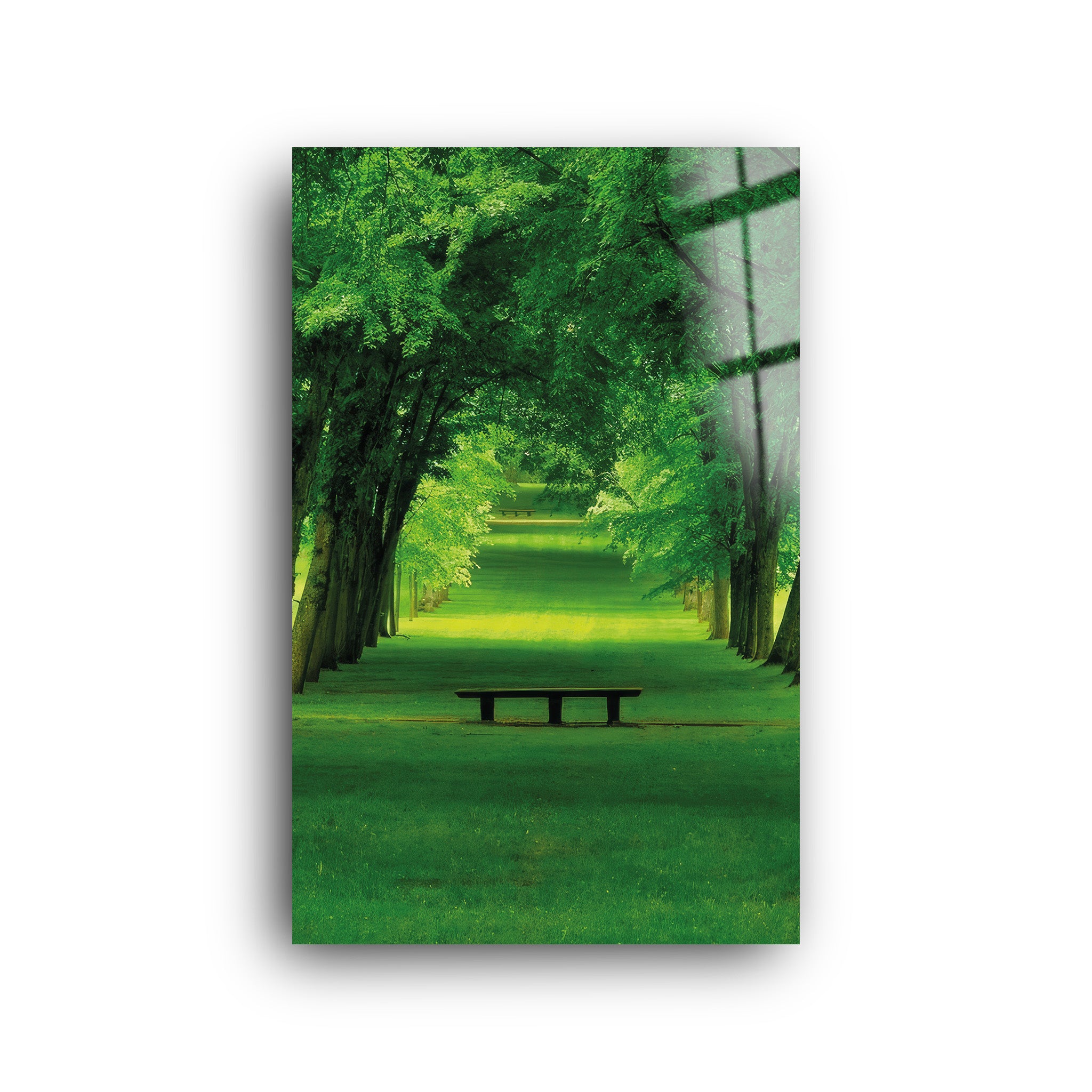 Peaceful Forest | Glass Wall Art