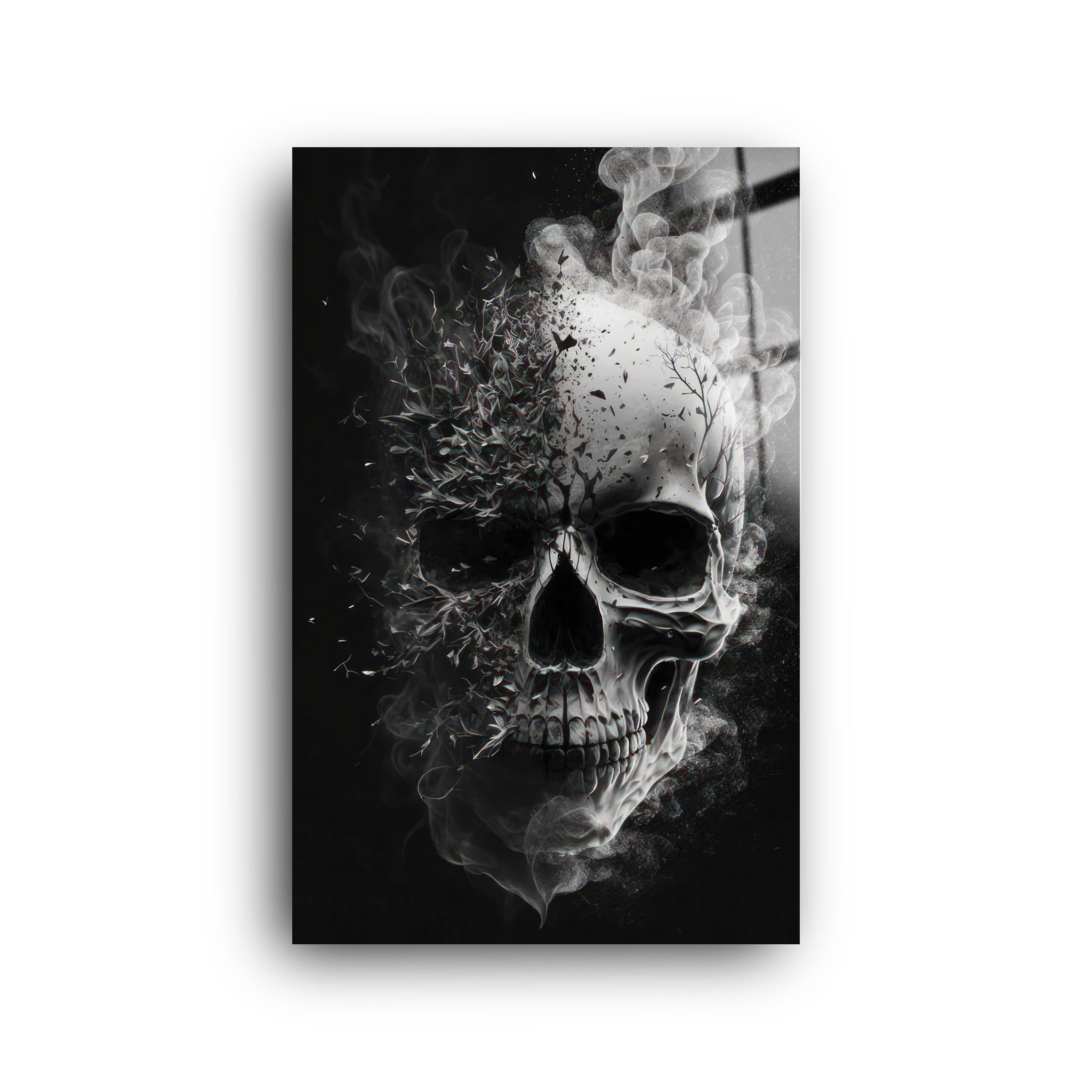 Shadow Skull | Glass Wall Art