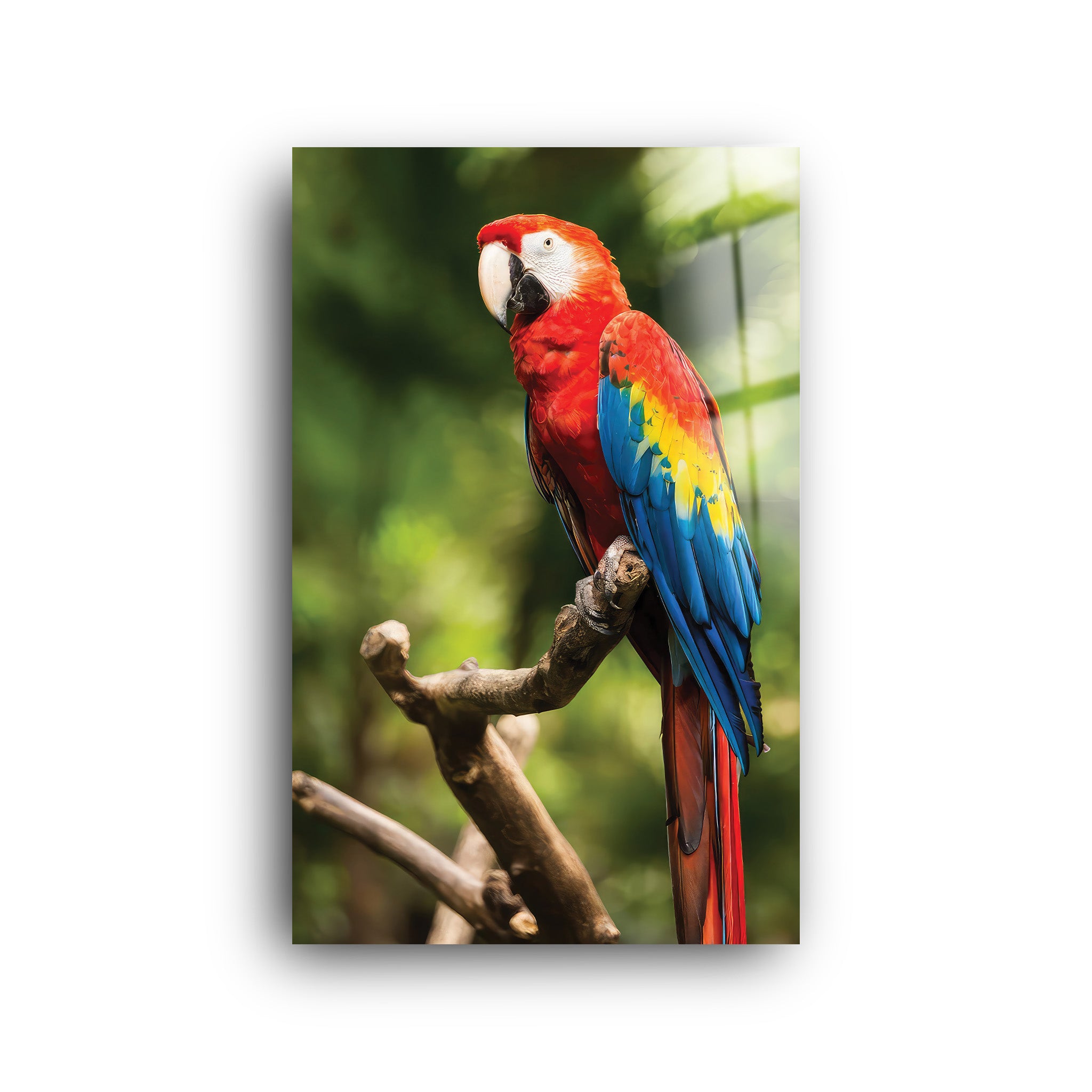 Parrot | Glass Wall Art