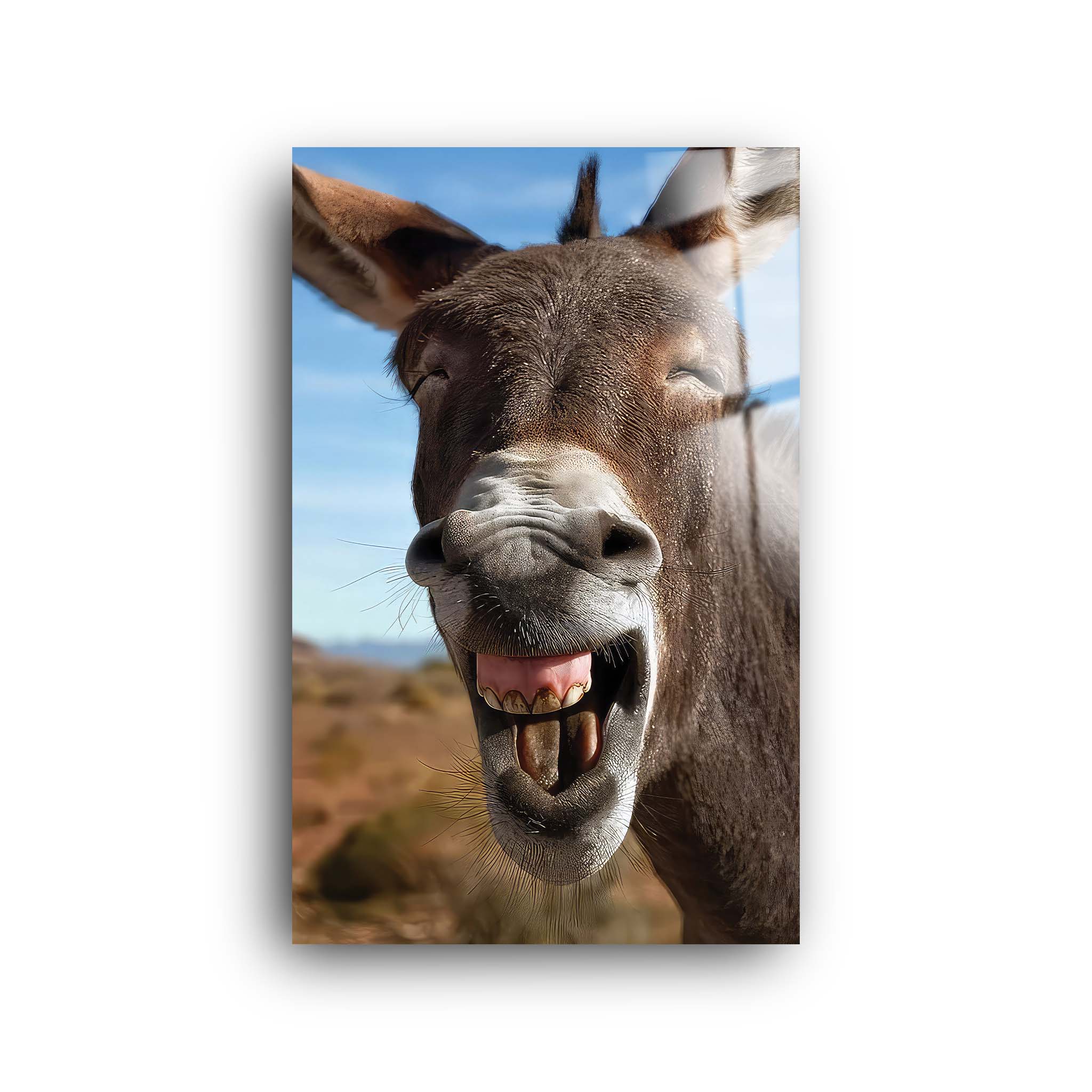 Happy Donkey | Glass Wall Art