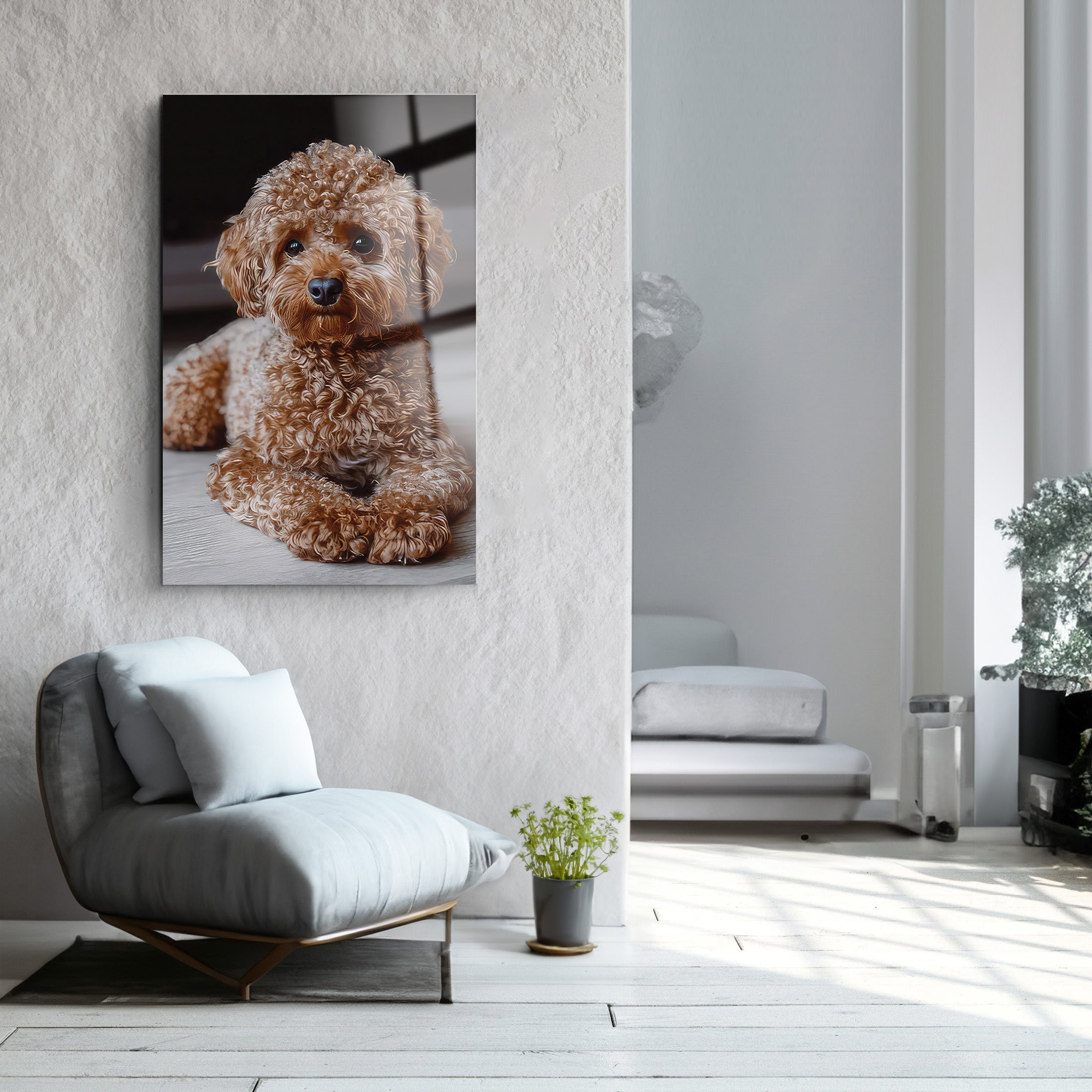 Poodle | Glass Wall Art